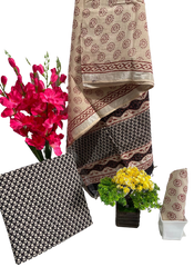 Cotton linen bagru print suit SILK ZONE