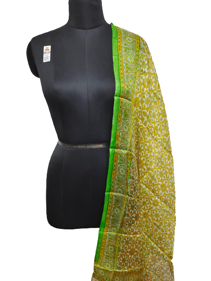 Tussar silk handblock print dupatta silk ZONE