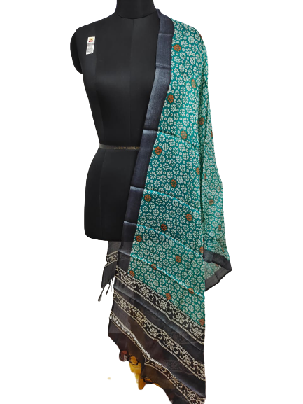 Tussar silk handblock print dupatta silk ZONE