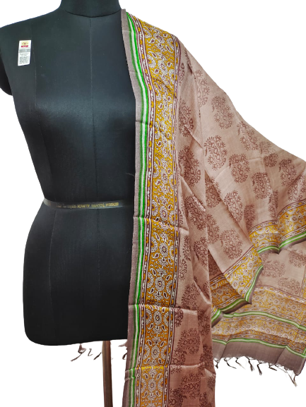 Tussar silk handblock print dupatta SILK ZONE