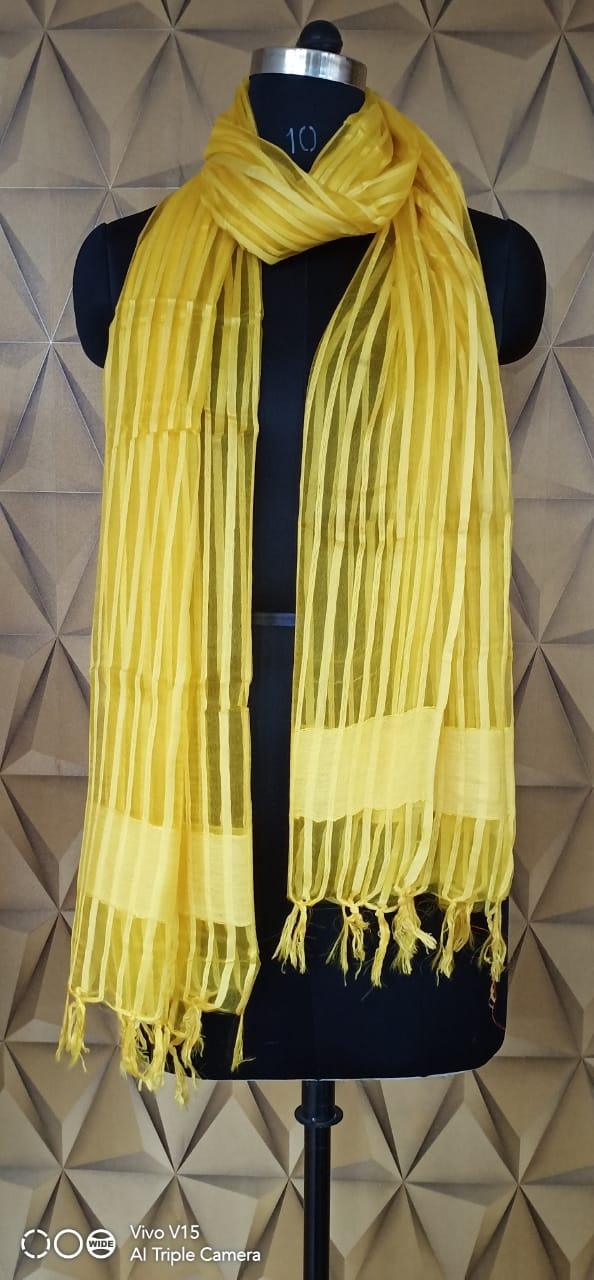 Organza Dupatta silkzon.in