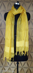 Organza Dupatta silkzon.in
