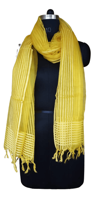 Organza Dupatta silkzon.in