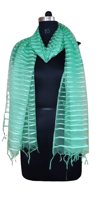 Organza Dupatta silkzon.in