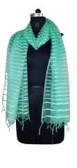 Organza Dupatta silkzon.in