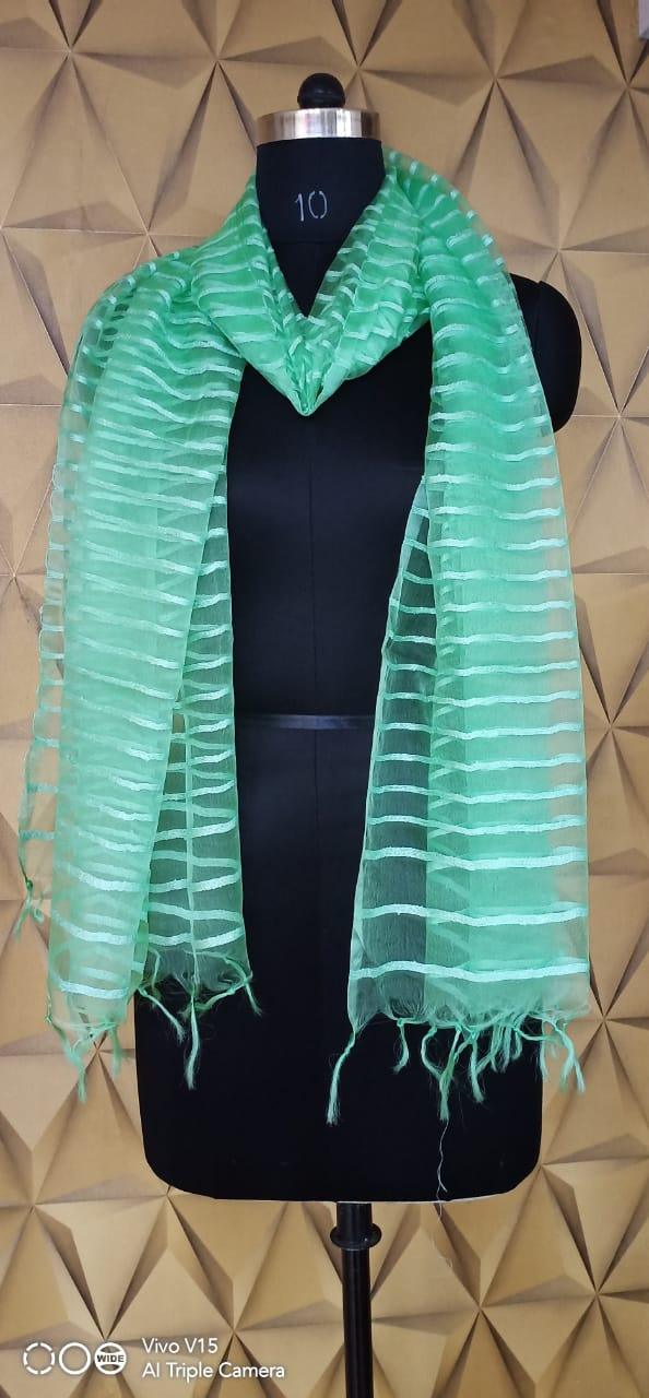 Organza Dupatta silkzon.in