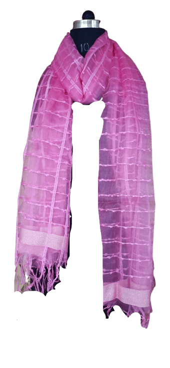 Organza Dupatta silkzon.in