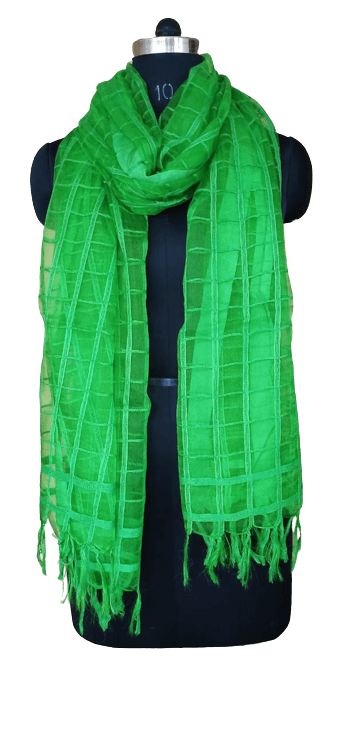 Organza Dupatta silkzon.in