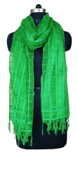 Organza Dupatta silkzon.in