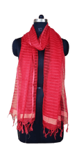 Organza Dupatta silkzon.in