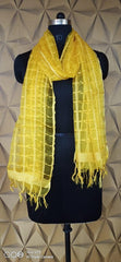 Organza Dupatta silkzon.in