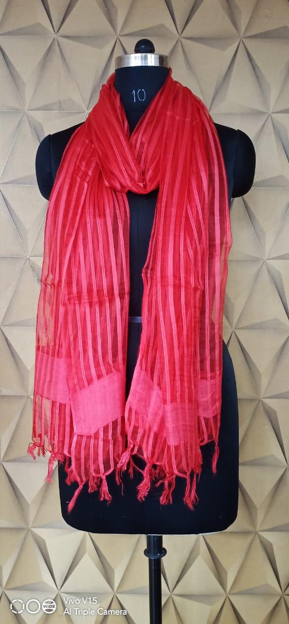 Organza Dupatta silkzon.in