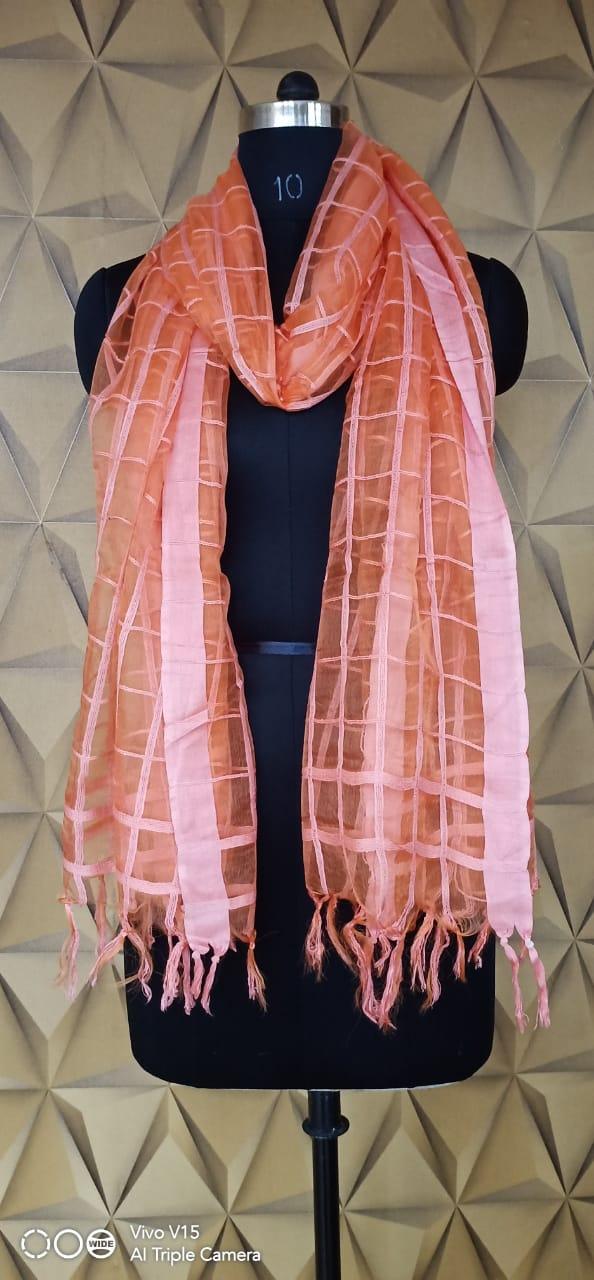 Organza Dupatta silkzon.in