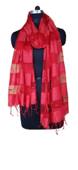 Organza Dupatta silkzon.in