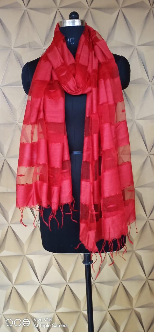 Organza Dupatta silkzon.in