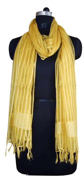 Organza Dupatta silkzon.in