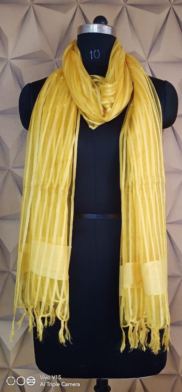 Organza Dupatta silkzon.in