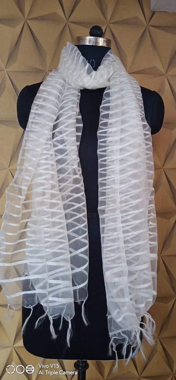 Organza Dupatta silkzon.in