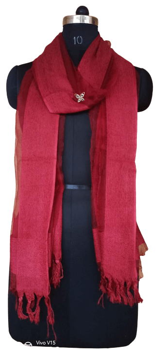 Organza Dupatta silkzon.in