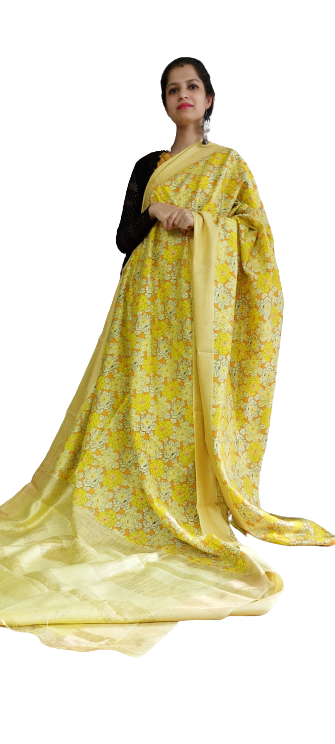 Organza Model Silk Saree silkzon