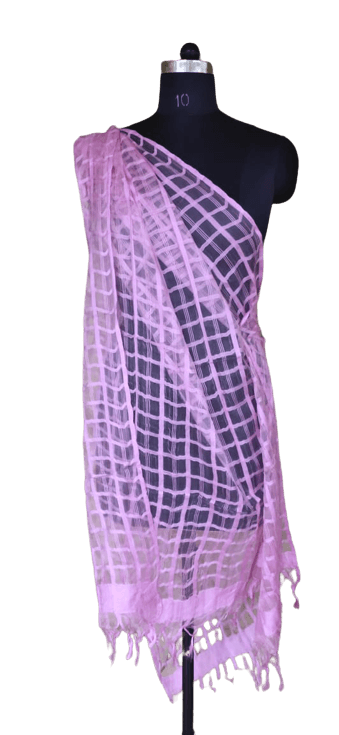 Organza Dupatta silkzon.in