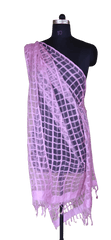 Organza Dupatta silkzon.in