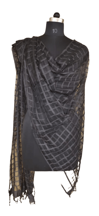 Organza Dupatta silkzon.in