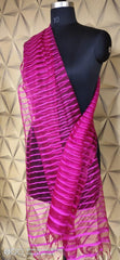 Organza Dupatta silkzon.in
