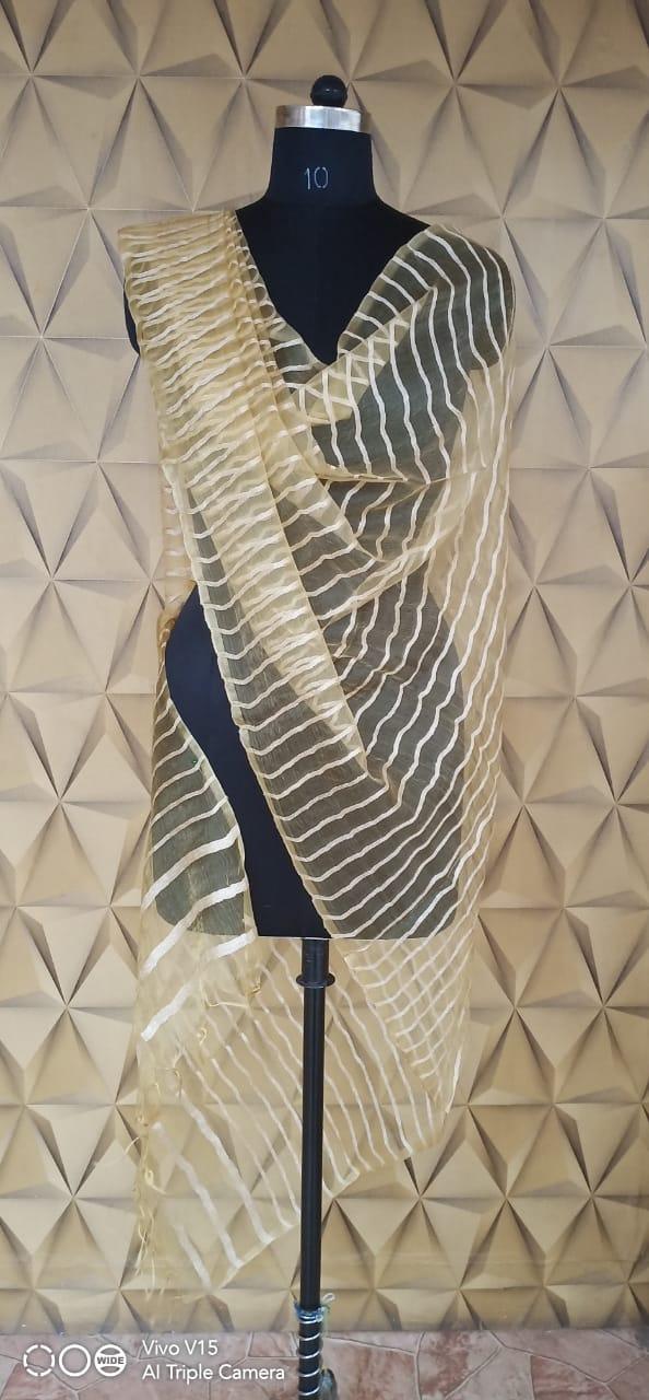 Organza Dupatta silkzon.in