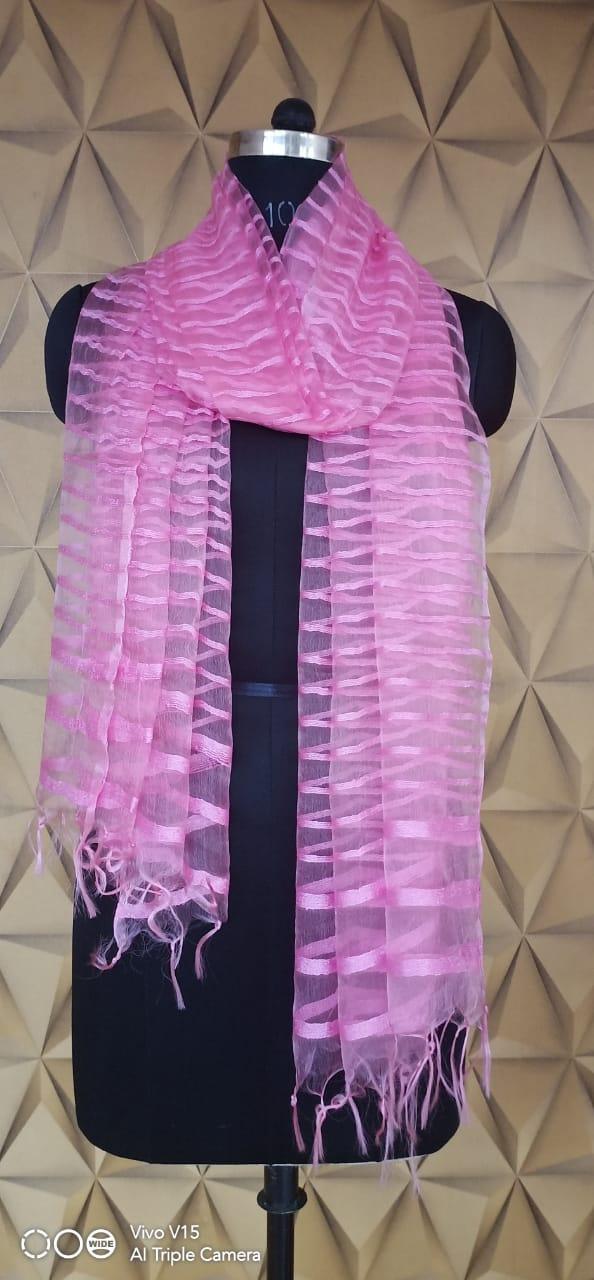 Organza Dupatta silkzon.in