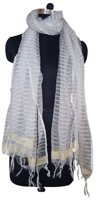 Organza Dupatta silkzon.in