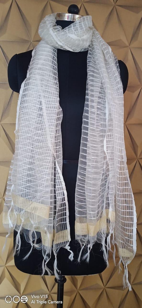 Organza Dupatta silkzon.in