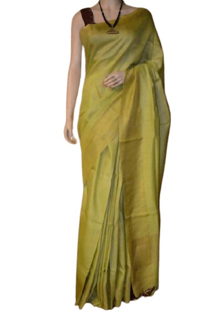 Tussar munga silk saree SILK ZONE
