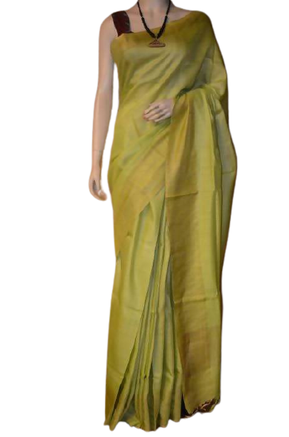 Tussar munga silk saree SILK ZONE