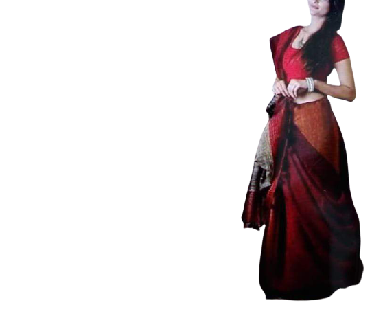 Pure linen plane saree SILK ZONE