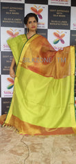 Tissue linen plane saree SILK ZONE