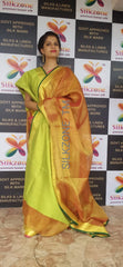 Tissue linen plane saree SILK ZONE