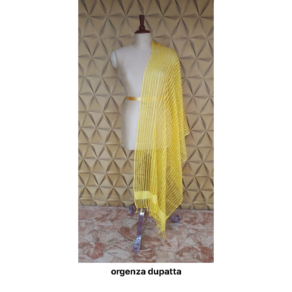 Organza jute dupatta M J HANDLOOMS