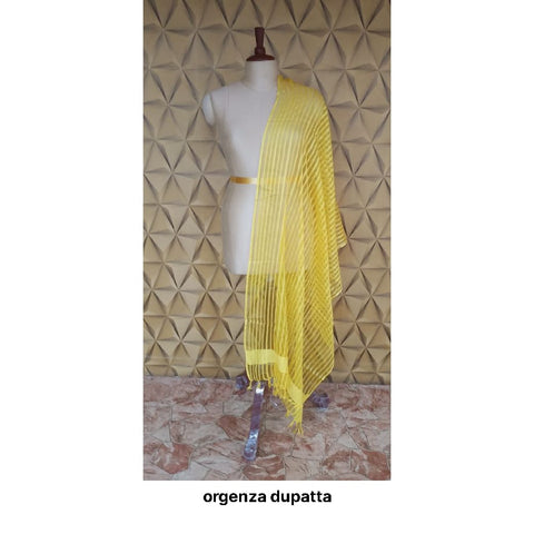 Organza jute dupatta M J HANDLOOMS