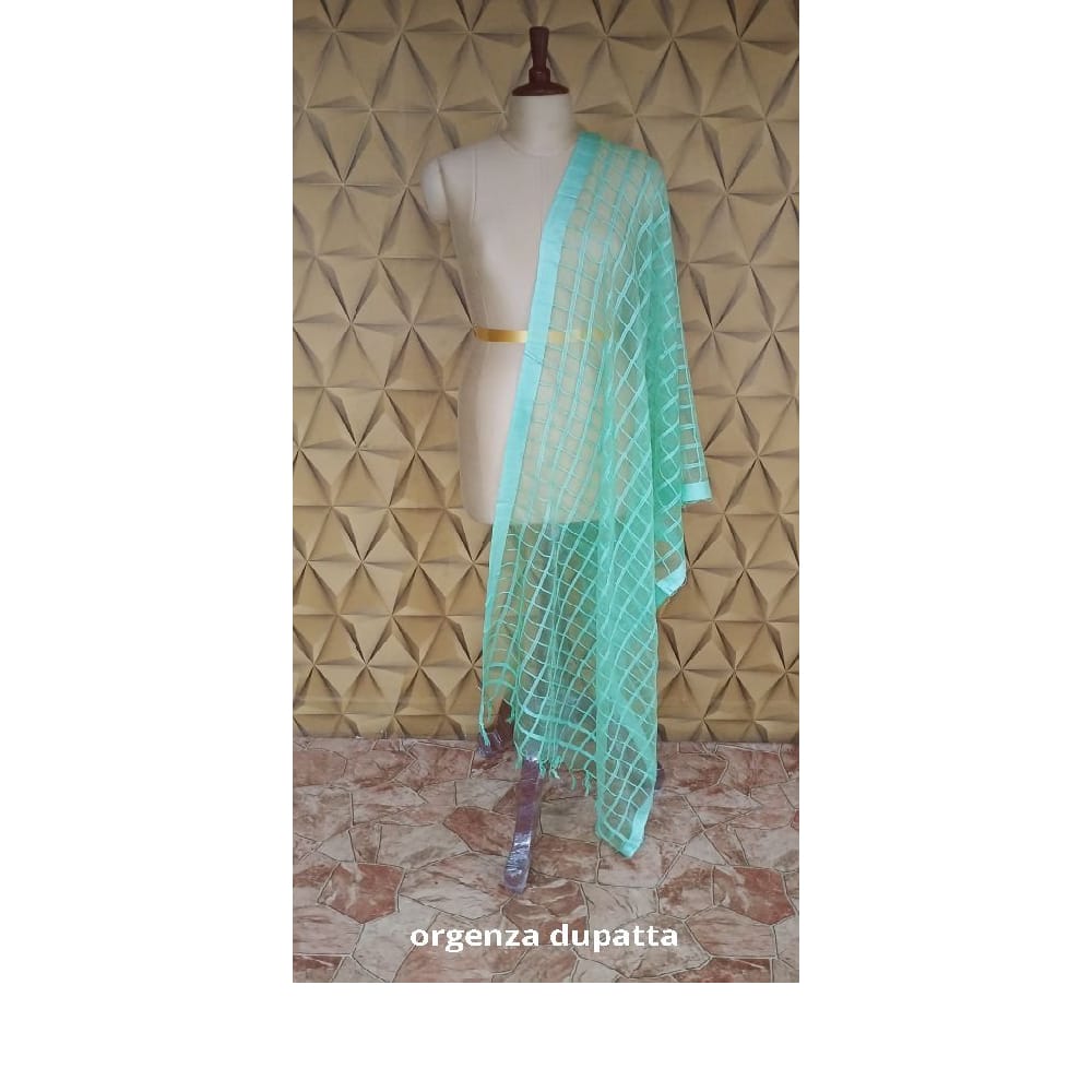 Organza jute dupatta M J HANDLOOMS