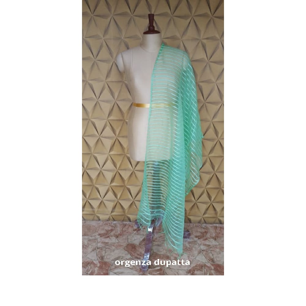 Organza jute dupatta M J HANDLOOMS