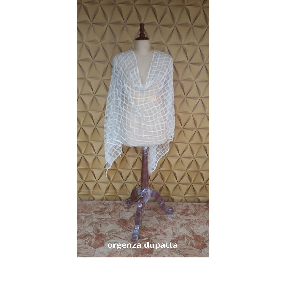 Organza jute dupatta M J HANDLOOMS