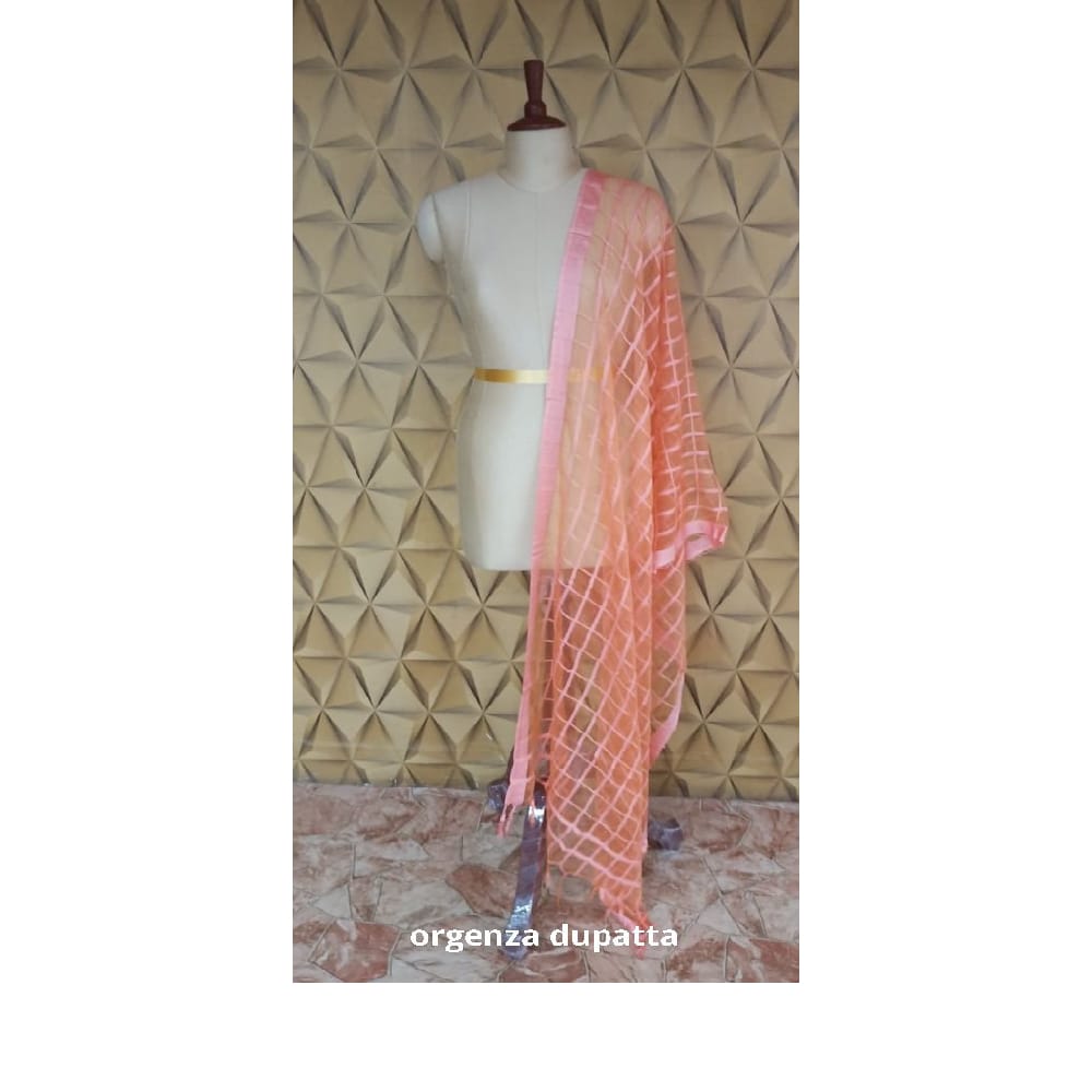 Organza jute dupatta M J HANDLOOMS