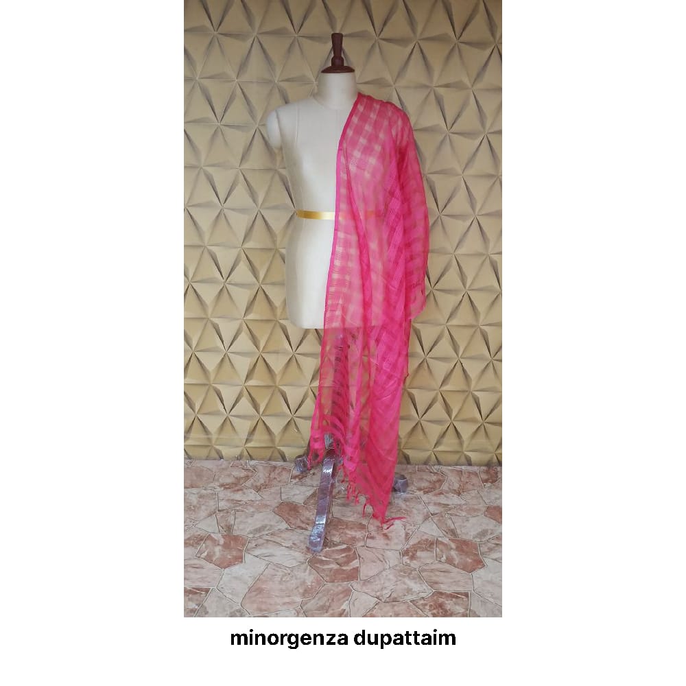 Organza jute dupatta M J HANDLOOMS