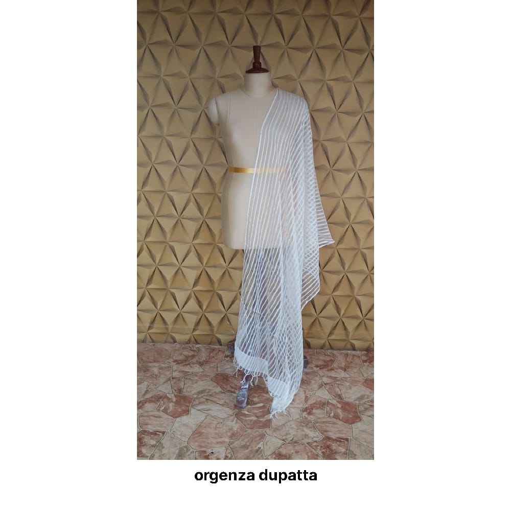 Organza jute dupatta M J HANDLOOMS