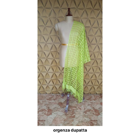 Organza jute dupatta M J HANDLOOMS