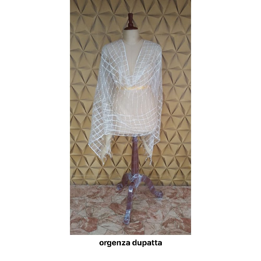 Organza jute dupatta M J HANDLOOMS