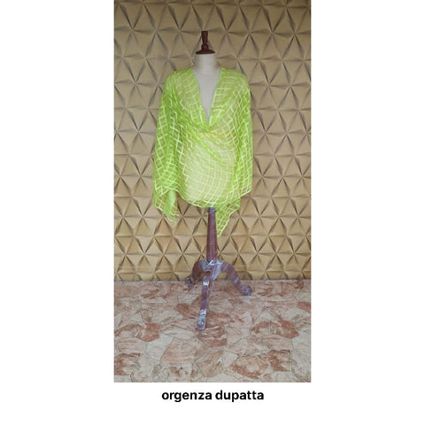 Organza jute dupatta M J HANDLOOMS