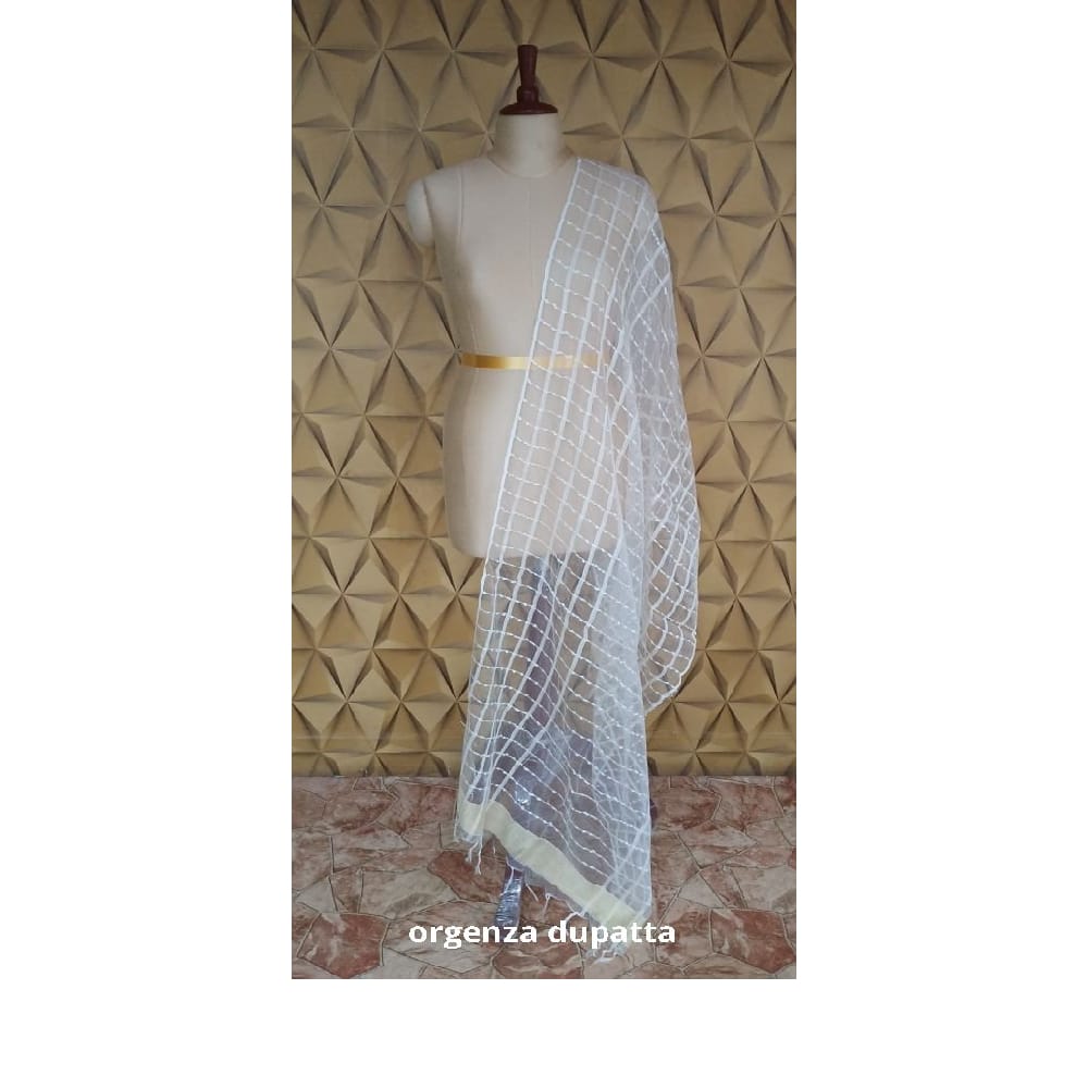 Organza jute dupatta M J HANDLOOMS