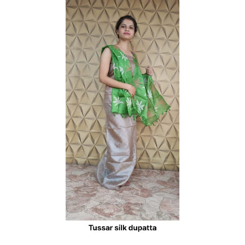 Tussar silk dupatta SILK ZONE